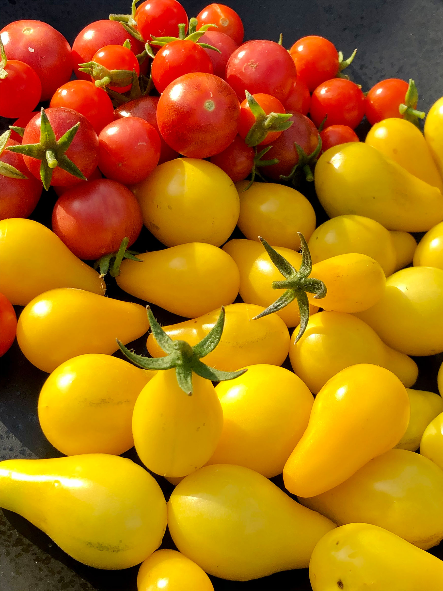 cherry and pear tomatoes