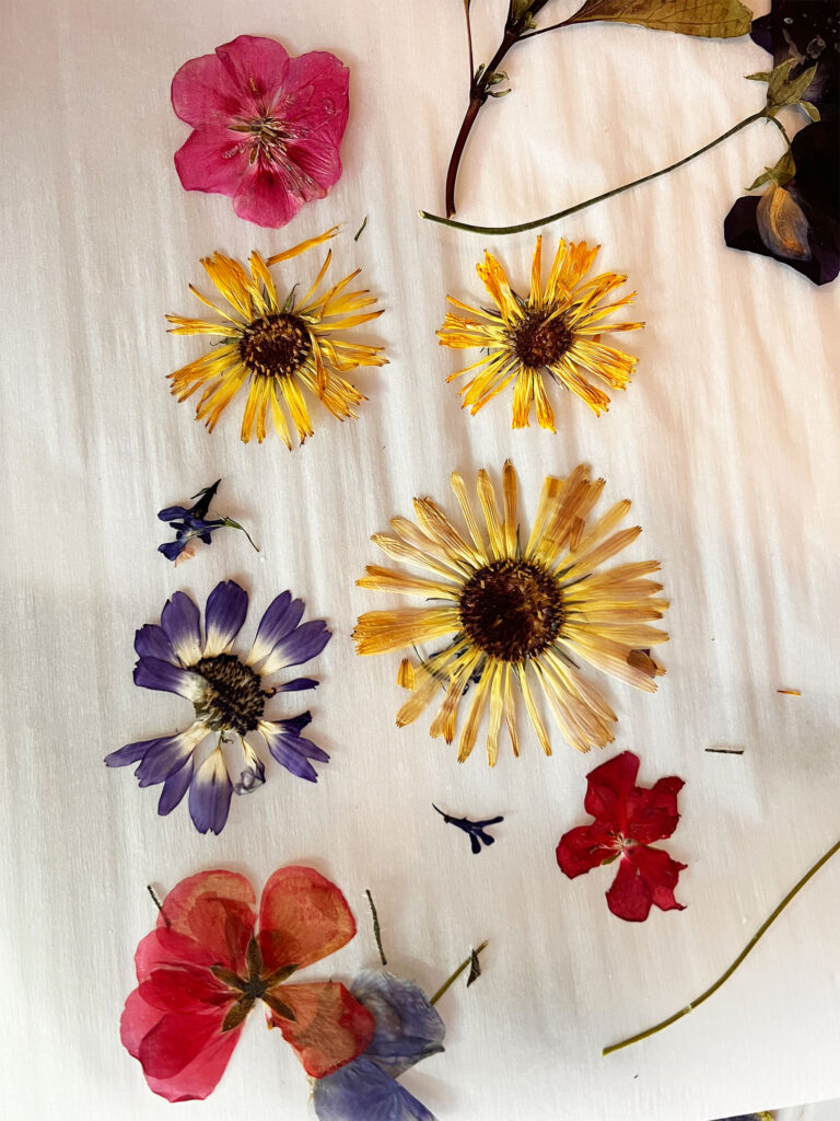 pressed flowers